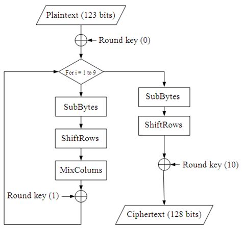 steps in each round of aes algorithm