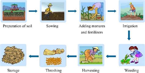 steps involved in crop production