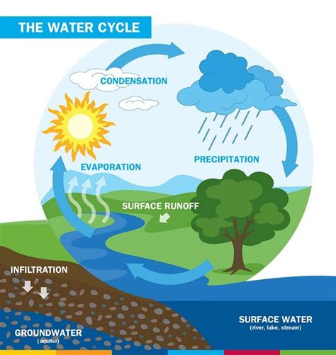 steps of the water cycle