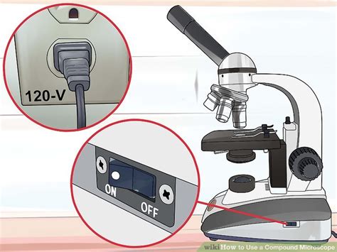 Steps On How To Use A Compound Microscope