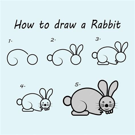 steps to draw a rabbit