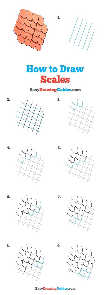 steps to draw scales