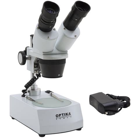 Stereo Microscope Buying Guide