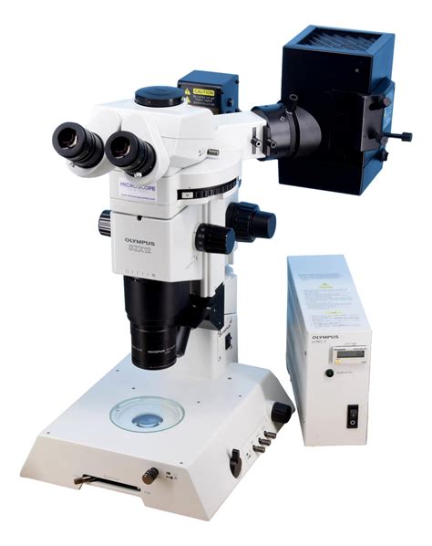 Stereo Microscope Fluorescence