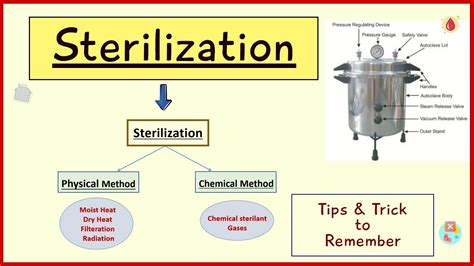 Sterilization Hindi Mein