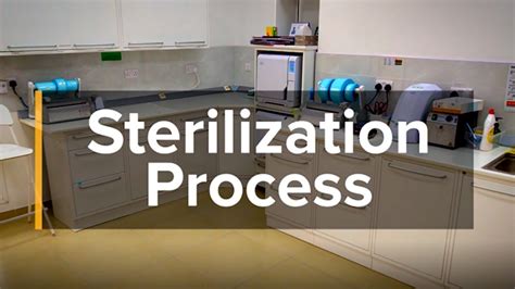 Sterilization Procedure Step By Step