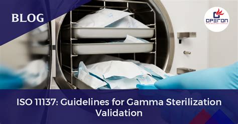 Sterilization Validation Guidance