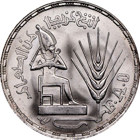 sterling to egyptian pound