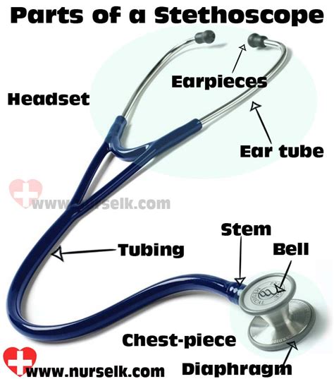 Stethoscope Definition Easy