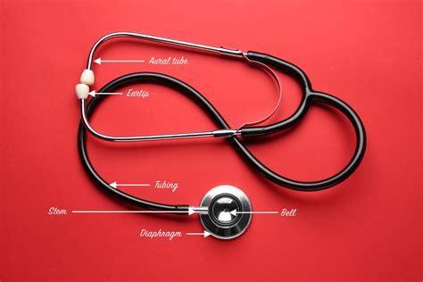 Stethoscope Meaning Root