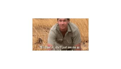 Steve Irwin Funny Gif Tag For 9 10 21 Season 21 Find Share On Giphy