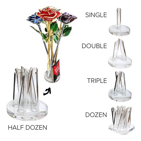 Steven Singer Rose: Secrets Unveiled