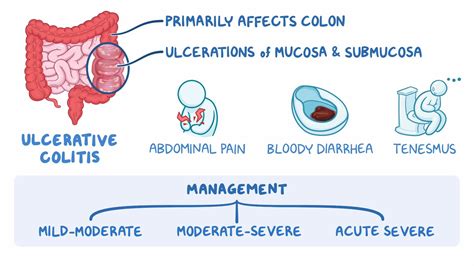 Stevia And Colitis