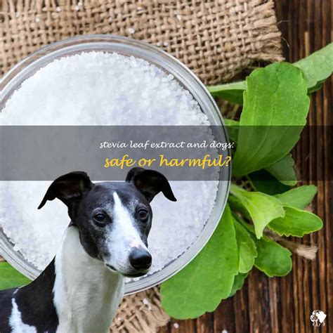Stevia Leaf Extract Dogs