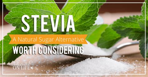 Stevia Replace Sugar