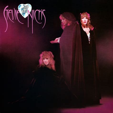 stevie nicks wild heart