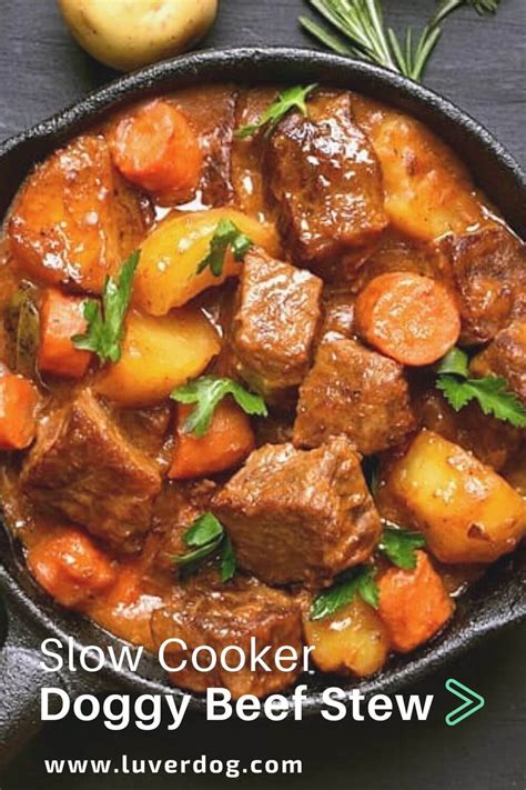 Stew Dog Meat