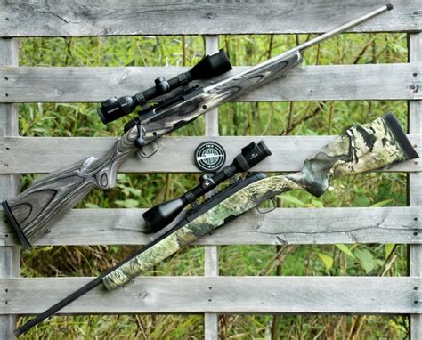 steyr pro hunter budget rifle