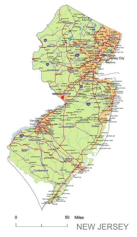stg of new jersey