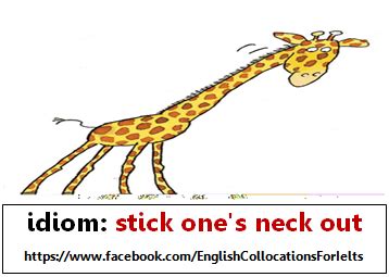 stick your neck out image