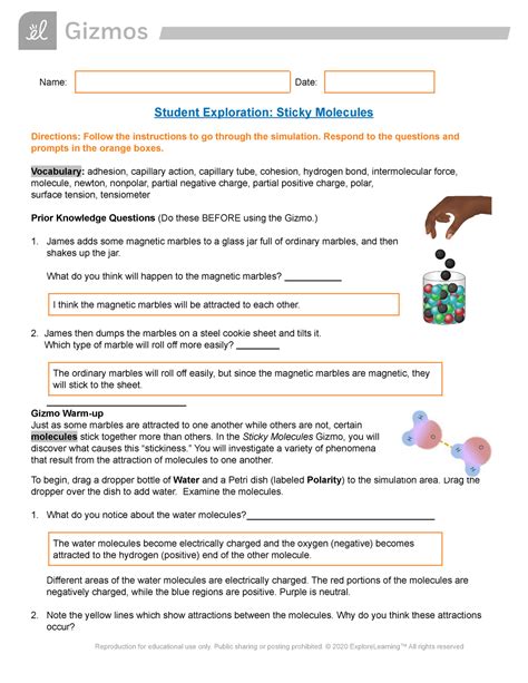 Sticky Molecules Gizmo Answer Key Pdf: Everything You Need To Know