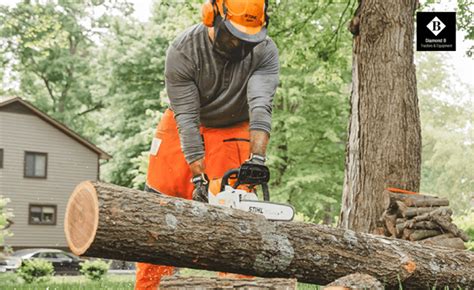 Stihl Chainsaw Model Numbers