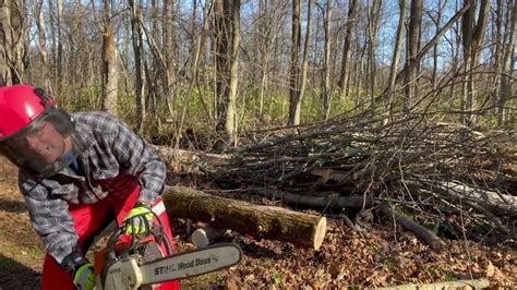 Stihl MS270C Chain Saw & Case BigIron Auctions