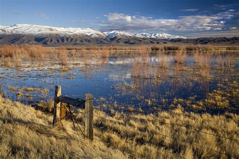 stillwater national wildlife refuge nevada