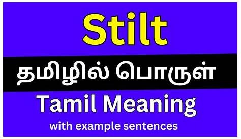 Stilt Floor Meaning In Tamil Review Home Decor