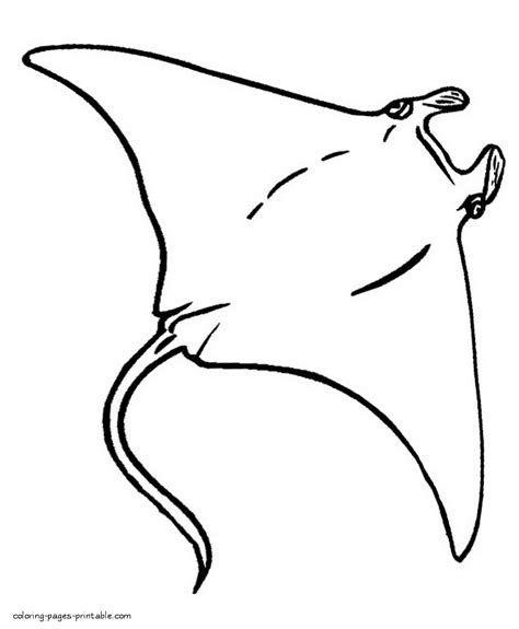 stingray pictures to color