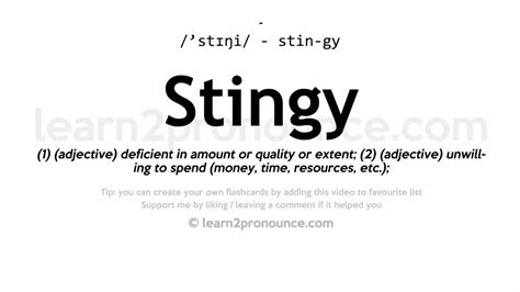 stingy meaning in english