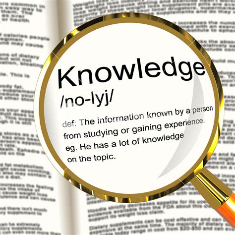 Stock Of Knowledge Definition
