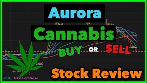stock prices for aurora cannabis inc