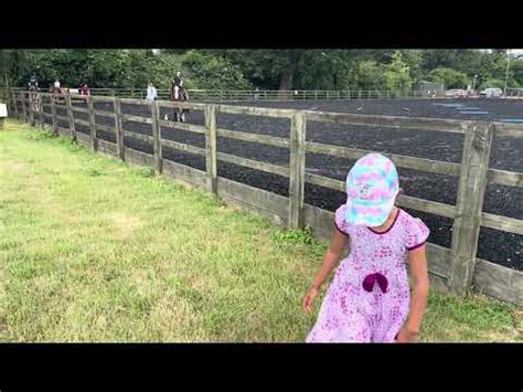stockwood park horse riding