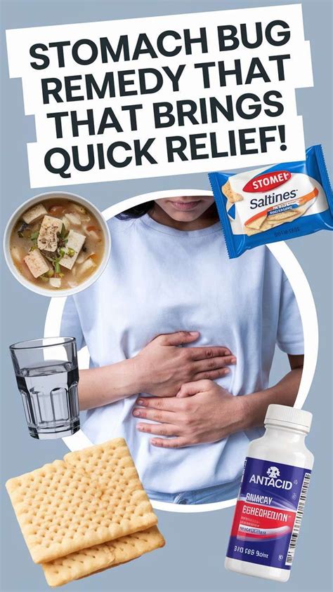 Understanding and Managing the Stomach Bug in Your Brat