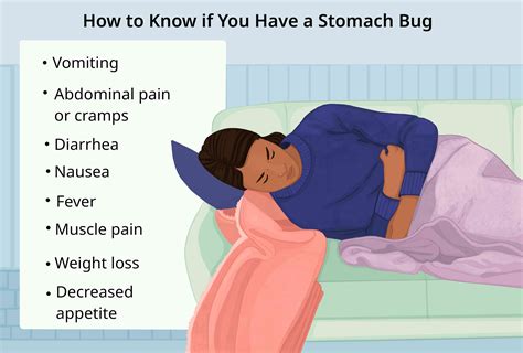 Stomach Bug Going Around: What You Need to Know