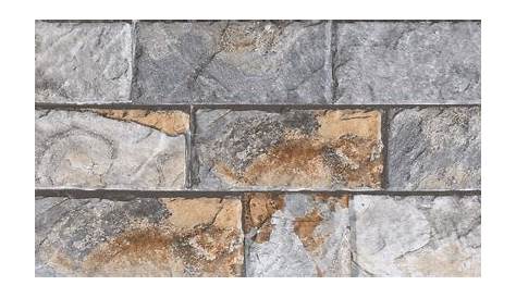 Kajaria Ceramic Exterior Wall Tile, 510 mm, Rs 25 /square feet Hare