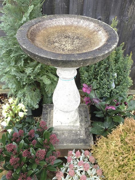 Stone Bird Bath Ideas