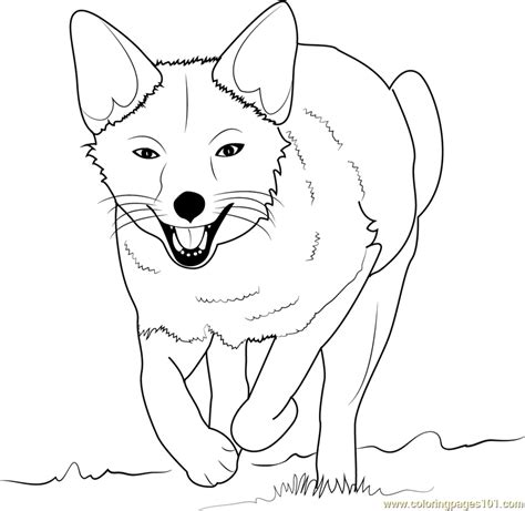 stone fox coloring pages printable template