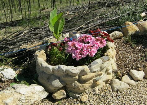 Maximize Your Garden Aesthetic with Stone Planters