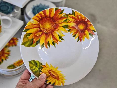 Stoneware Dinner Plates Dollar Store
