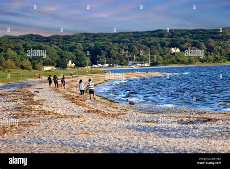 stony brook beach long island ny