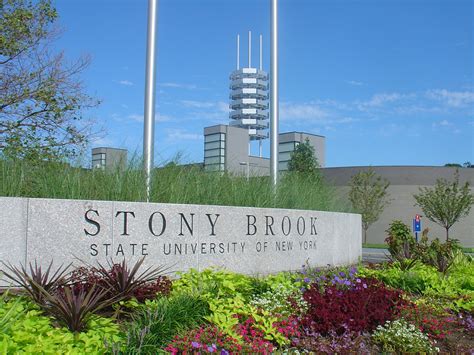 stony brook state university of new york