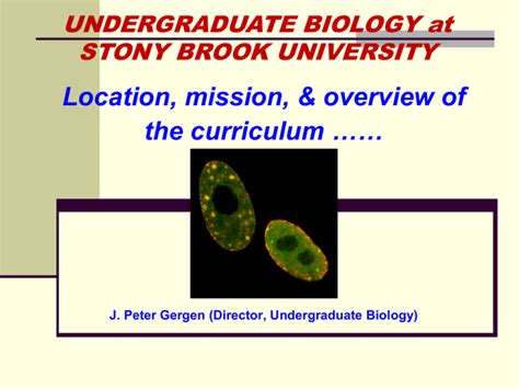 stony brook university biology