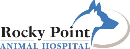 stony point veterinary clinic