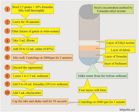 Stool Examination Concentration Method