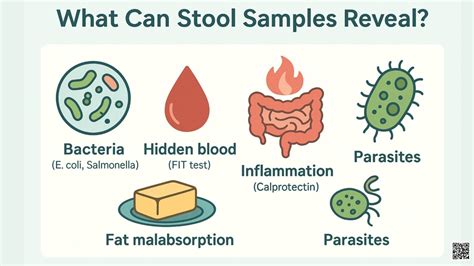 Stool Sample Shows Inflammation