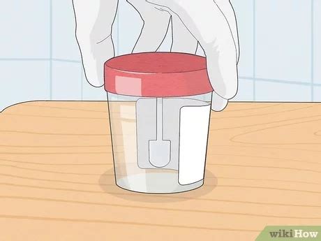 Stool Sample Vet Refrigerate