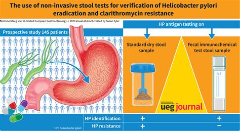Stool Test H Pylori