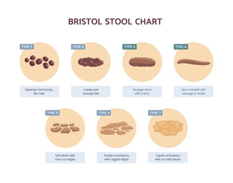 Stools Human Body